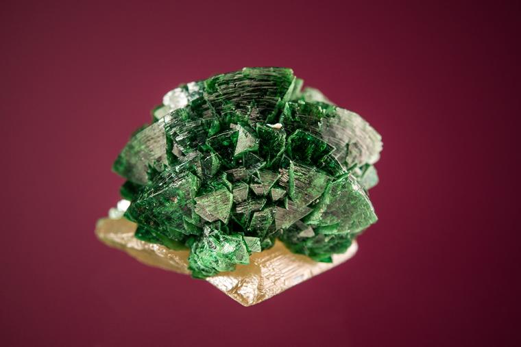 Cuprian ADAMITE on WULFENITE